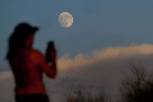 Ночью можно было увидеть осетровую луну. Как она выглядела Ночью можно было увидеть осетровую луну. Как она выглядела