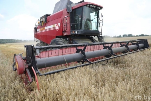 Сколько белорусов работает в сельском хозяйстве и какие у них зарплаты Сколько белорусов работает в сельском хозяйстве и какие у них зарплаты