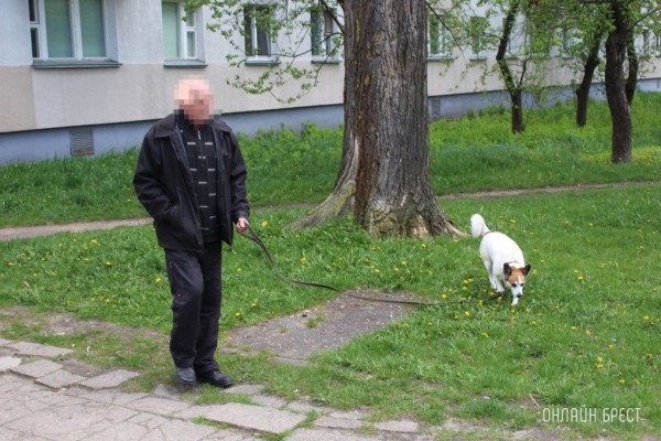 Повышение налога для владельцев собак: размеры и последствия невыплаты Повышение налога для владельцев собак: размеры и последствия невыплаты