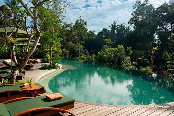 «Что-то на богатом»: как выглядят лучшие отели года по мнению туристов «Что-то на богатом»: как выглядят лучшие отели года по мнению туристов