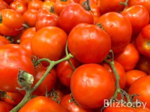 Сравнили цены на продукты в магазинах Беларуси и Израиля. И вот что получилось Сравнили цены на продукты в магазинах Беларуси и Израиля. И вот что получилось