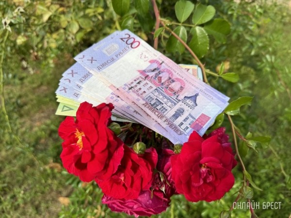 ТОП-10 регионов Беларуси с самыми низкими зарплатами