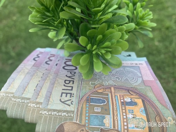 Какие зарплаты сейчас предлагают директорам в Беларуси Какие зарплаты сейчас предлагают директорам в Беларуси