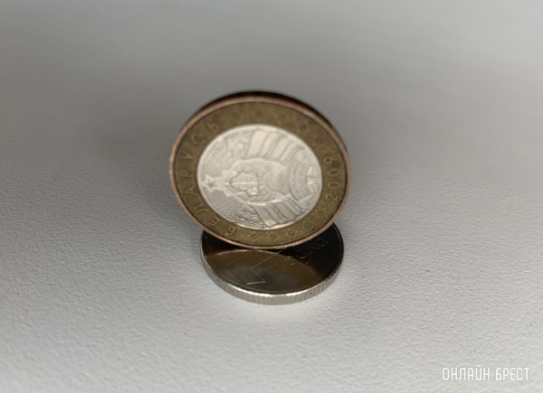 Топ-5 отраслей в Беларуси с самым большим риском банкротства