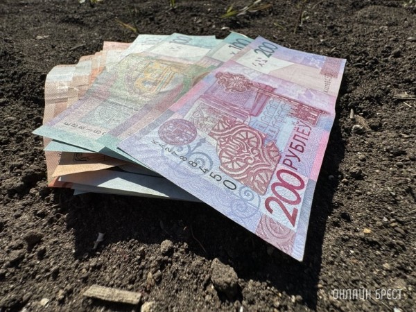 Кому в Беларуси начислили зарплату более 8000 рублей?