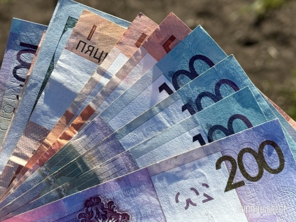 Более 9000 рублей. Кто из белорусов может получить такую субсидию Более 9000 рублей. Кто из белорусов может получить такую субсидию